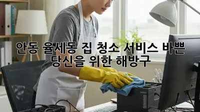 안동 율세동 집 청소 서비스: 바쁜 당신을 위한 해방구!