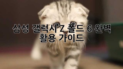 삼성 갤럭시 Z 폴드 6 완벽 활용 가이드